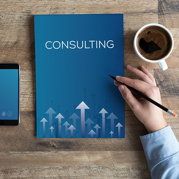 IT Consulting company and services in Singapore